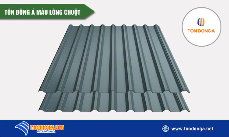 Tôn Đông Á màu lông chuột 